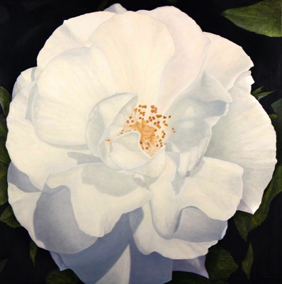  Open Rose, 36 x 36 Original Oil 