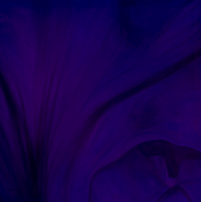  Iris V Purple, 36 x 36 Original Oil 