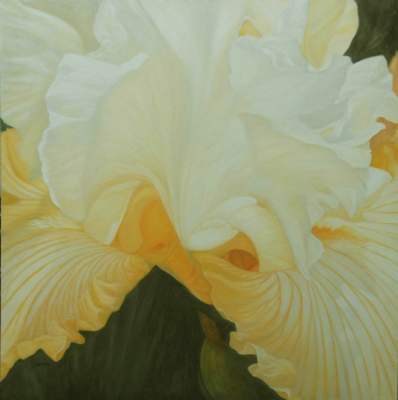  Iris II Yellow, 36 x 36 Original Oil 