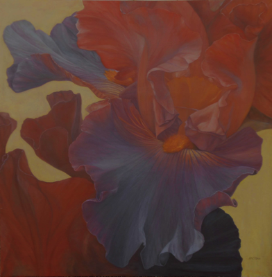  Iris I, 36 x 36 Sold 