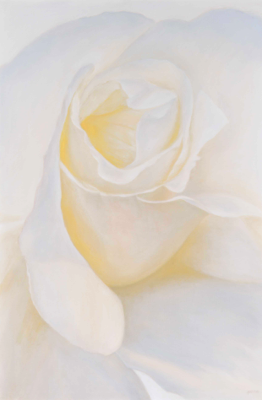  White Rose I, 24 x 36 Giclée  