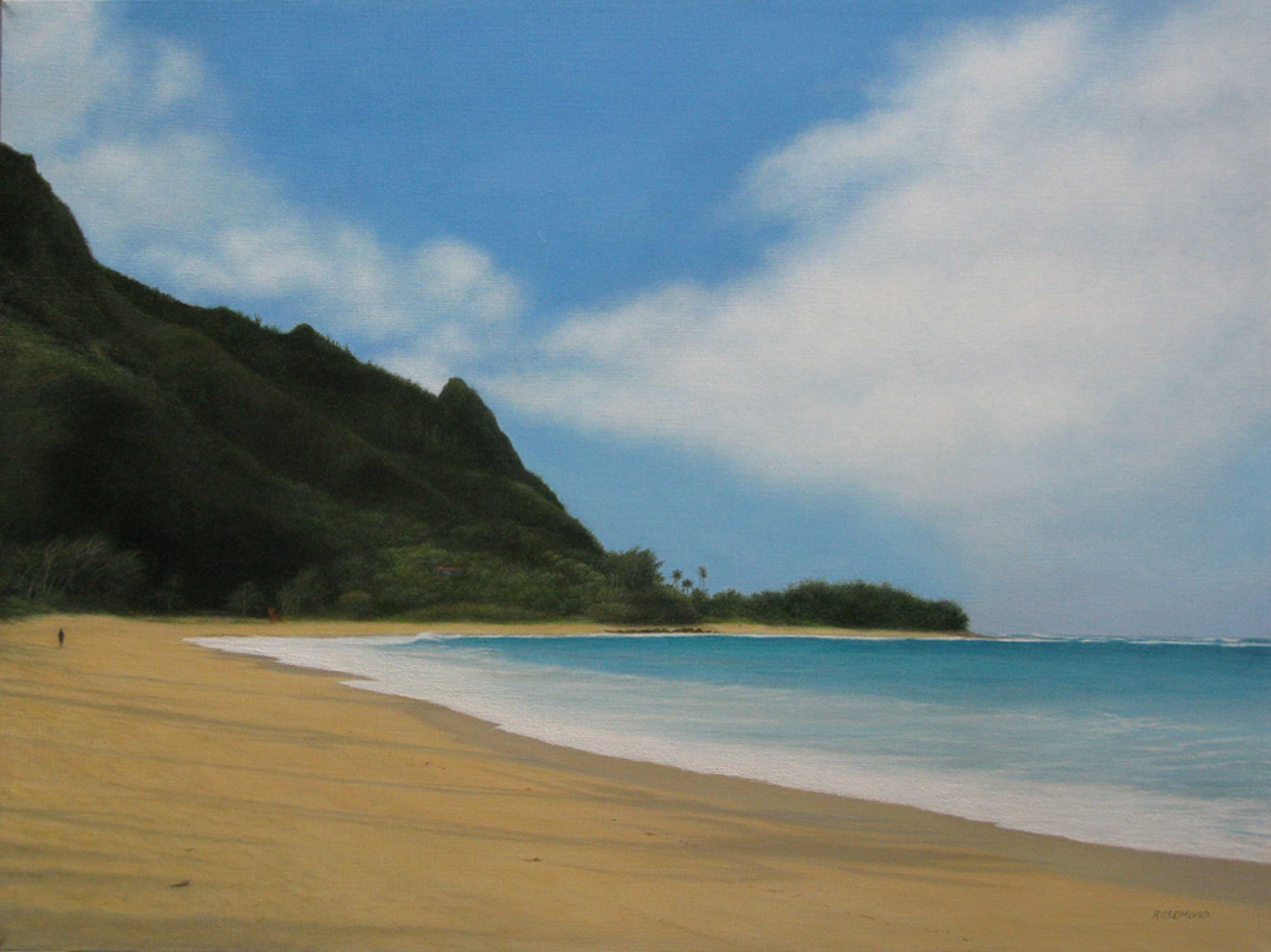  Tunnels Beach, Kauai, 18 x 24 Giclée 